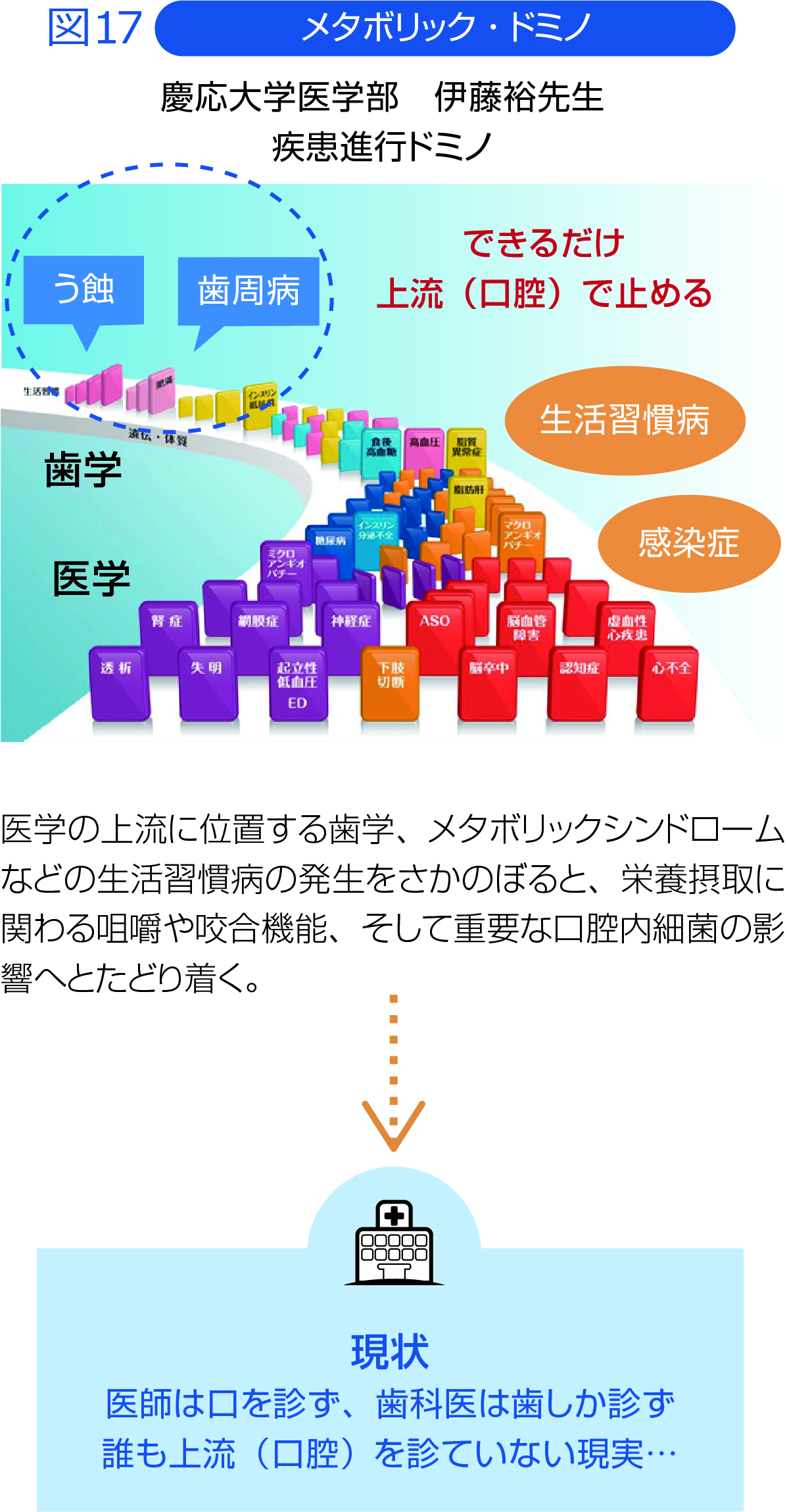 図17 メタボリック・ドミノ