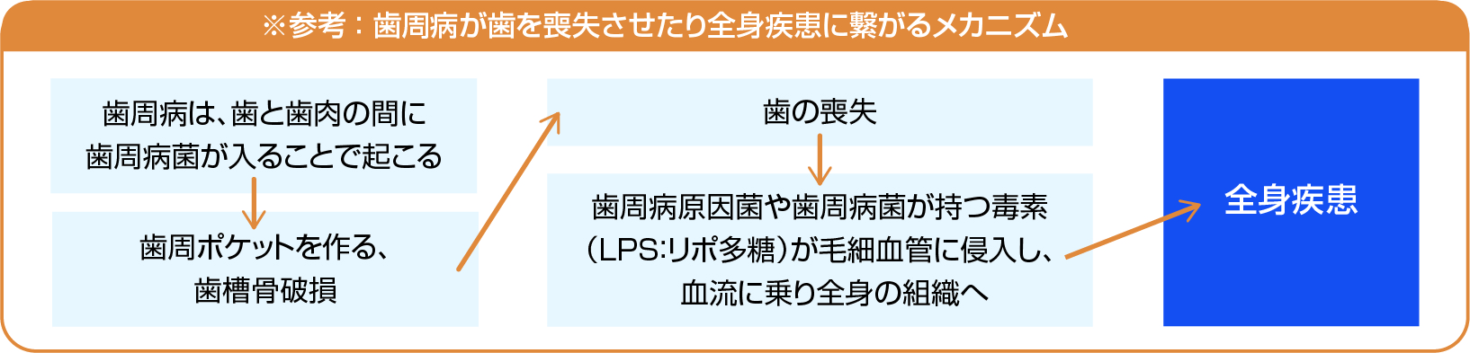 ※参考 歯周病が歯を喪失させたり全身疾患に繋がるメカニズム