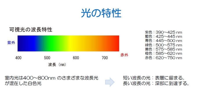 波長.jpg